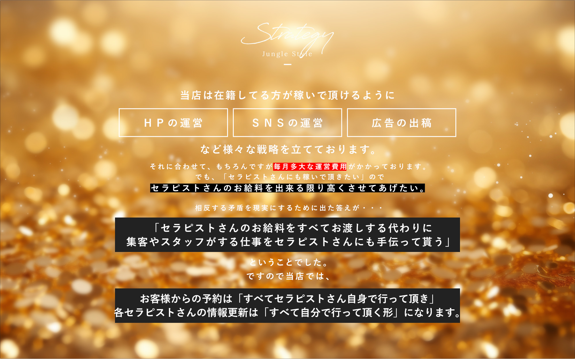 当店は在籍してる方が稼いでいただけるように「広告の出稿」「SNSの運営」「HPの運営」など様々な戦略を立てております。